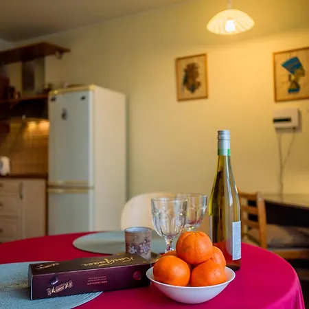 Διαμέρισμα Romeo Family Uus Ταλίν