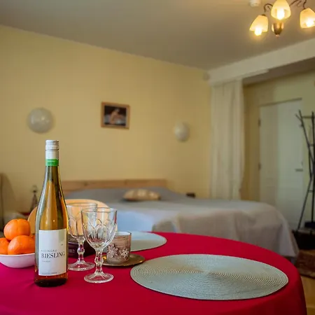 Romeo Family Uus Διαμέρισμα Ταλίν